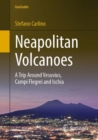 Image for Neapolitan volcanoes: a trip around Vesuvius, Campi Flegrei and Ischia