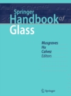 Image for Springer Handbook of Glass