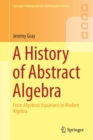 Image for A History of Abstract Algebra