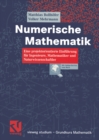 Image for Numerische Mathematik: Eine projektorientierte Einfuhrung fur Ingenieure, Mathematiker und Naturwissenschaftler