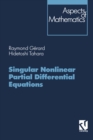 Image for Singular Nonlinear Partial Differential Equations
