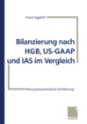 Image for Bilanzierung nach HGB, US-GAAP und IAS im Vergleich: Eine praxisorientierte Einfuhrung