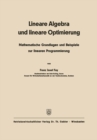 Image for Lineare Algebra und lineare Optimierung: Mathematische Grundlagen und Beispiele zur linearen Programmierung