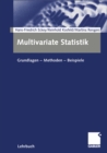 Image for Multivariate Statistik: Grundlagen - Methoden - Beispiele