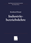 Image for Industriebetriebslehre: Einfuhrung Management im Lebenszyklus industrieller Geschaftsfelder