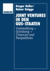 Image for Joint Ventures in den GUS-Staaten: Vorbereitung - Grundung - Chancen und Perspektiven