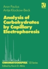 Image for Analysis of Carbohydrates by Capillary Electrophoresis