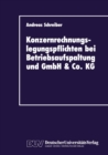 Image for Konzernrechnungslegungspflichten bei Betriebsaufspaltung und GmbH &amp; Co. KG