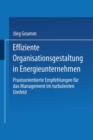 Image for Effiziente Organisationsgestaltung in Energieunternehmen: Praxisorientierte Empfehlungen fur das Management im turbulenten Umfeld