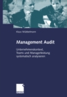 Image for Management Audit: Unternehmenskontext, Teams Und Managerleistung Systematisch Analysieren