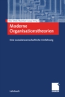Image for Moderne Organisationstheorien: Eine sozialwissenschaftliche Einfuhrung