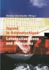 Image for Jugend in Ostdeutschland: Lebenssituationen und Delinquenz