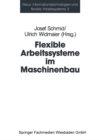Image for Flexible Arbeitssysteme im Maschinenbau: Ergebnisse aus dem Betriebspanel des Sonderforschungsbereichs 187