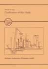 Image for Gasification of Rice Hulls: Theory and Praxis