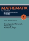 Image for Grundlagen der Mathematik, Abbildungen, Funktionen, Folgen