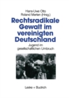 Image for Rechtsradikale Gewalt im vereinigten Deutschland: Jugend im gesellschaftlichen Umbruch
