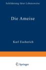 Image for Die Ameise