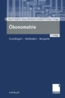 Image for Okonometrie: Grundlagen - Methoden - Beispiele