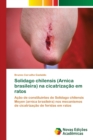 Image for Solidago chilensis (Arnica brasileira) na cicatrizacao em ratos