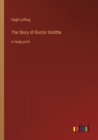 Image for The Story of Doctor Dolittle : in large print