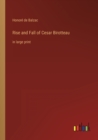 Image for Rise and Fall of Cesar Birotteau : in large print
