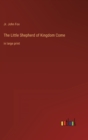 Image for The Little Shepherd of Kingdom Come : in large print