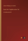 Image for Faust; Der Tragoedie erster Teil : in Grossdruckschrift