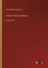 Image for A Short History of Wales