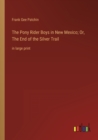 Image for The Pony Rider Boys in New Mexico; Or, The End of the Silver Trail : in large print