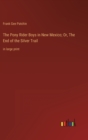Image for The Pony Rider Boys in New Mexico; Or, The End of the Silver Trail : in large print