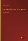 Image for Two Boys and a Fortune; Or, The Tyler Will : in large print