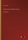 Image for The Countess Cathleen; Drama