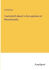 Image for Twenty-Ninth Report to the Legislature of Massachusetts