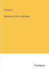 Image for Sketches of Life in the Bush