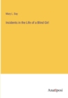 Image for Incidents in the Life of a Blind Girl