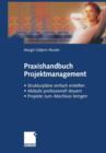 Image for Praxishandbuch Projektmanagement
