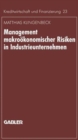 Image for Management makrookonomischer Risiken in Industrieunternehmen