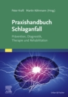 Image for Praxishandbuch Schlaganfall