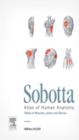 Image for Sobotta Tables of Muscles, Joints and Nerves, English/Latin: Tables to 15th ed. of the Sobotta Atlas