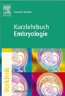 Image for Kurzlehrbuch Embryologie.