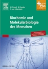 Image for Biochemie und Molekularbiologie des Menschen.
