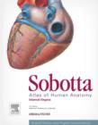 Image for Sobotta Atlas of Human Anatomy, Vol. 2, 15th Ed., English: Internal Organs