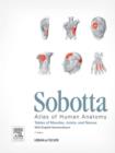 Image for Sobotta Tables of Muscles, Joints and Nerves, English: Tables to 15th Ed. Of the Sobotta Atlas