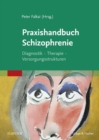 Image for Praxishandbuch Schizophrenie: Diagnostik - Therapie - Versorgungsstrukturen
