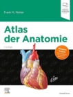 Image for Atlas der Anatomie : Deutsche Ubersetzung von Christian M. Hammer - Mit StudentConsult-Zugang