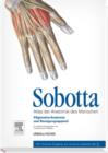 Image for Sobotta, Atlas der Anatomie des Menschen Band 1: Allgemeine Anatomie und Bewegungsapparat