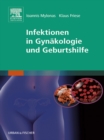 Image for Infektionen in Gynakologie und Geburtshilfe