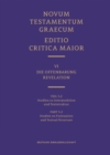 Image for Novum Testamentum Graecum, Editio Critica Maior VI/3.2: Revelation, Studies on Punctuation and Textual Structure