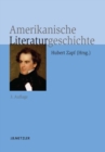 Image for Amerikanische Literaturgeschichte