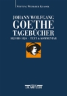 Image for Johann Wolfgang Goethe: Tagebucher : Band IX,1 und IX,2 (1823–1824)